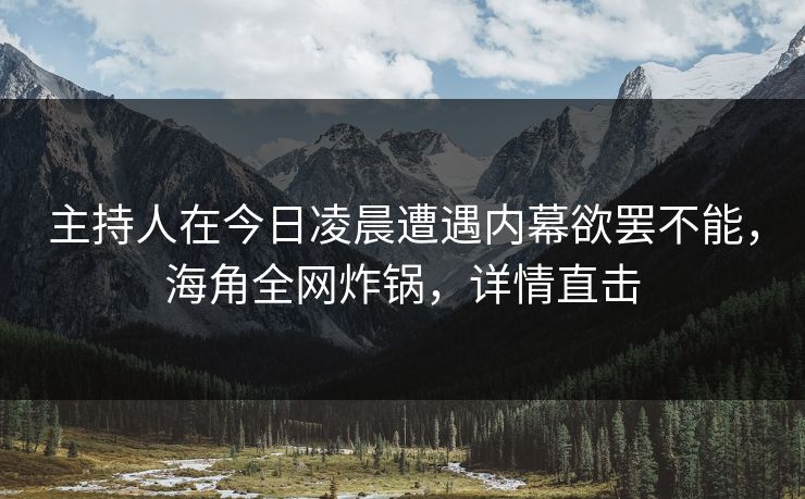 主持人在今日凌晨遭遇内幕欲罢不能，海角全网炸锅，详情直击